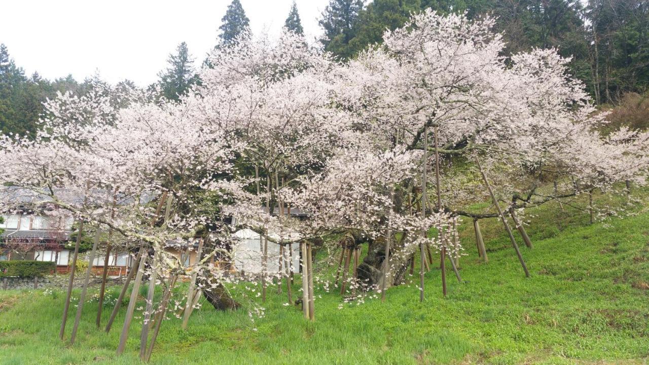 Home Sharing Guest House Don Takayama  Exterior foto